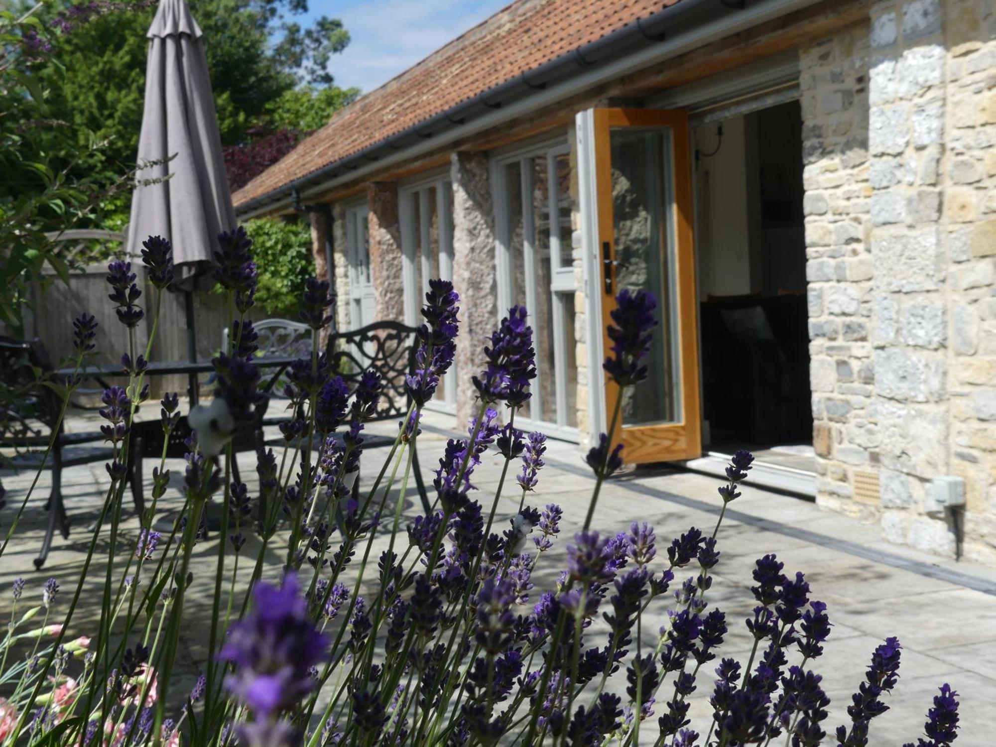Pear Tree Cottages Wedmore Room photo